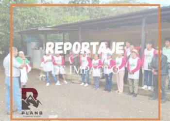 Promueven capacidades técnicas de productores de maíz