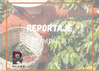 El café, la cultura y el turismo arman su ruta de oferta en Loja