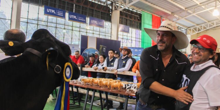 Lotes de ganado listos para remate en la Expo Feria