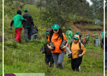 Jornada de reforestación en Cajanuma para restaurar ecosistemas del sur del Ecuador