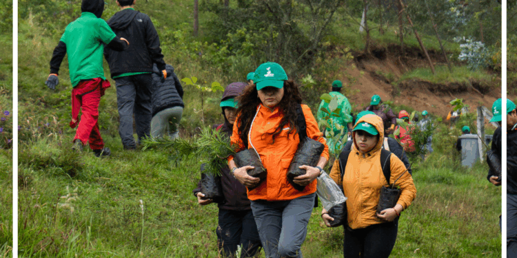 Jornada de reforestación en Cajanuma para restaurar ecosistemas del sur del Ecuador