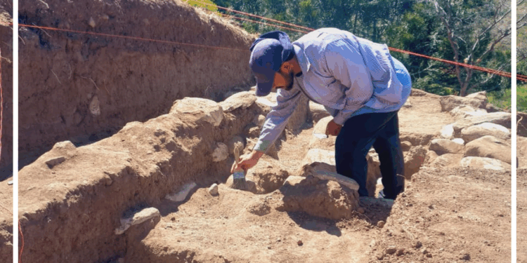 Avanza investigación arqueológica en Trapichillo