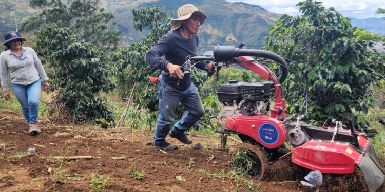 Producción agraria en Paltas le apuesta a la calidad