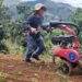 Producción agraria en Paltas le apuesta a la calidad