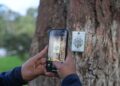 En Loja hay plataforma digital para arbolado urbano