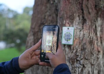 En Loja hay plataforma digital para arbolado urbano
