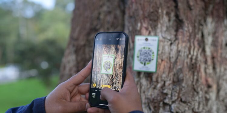 En Loja hay plataforma digital para arbolado urbano