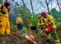 Experiencias para combatir incendios forestales