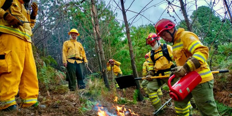 Experiencias para combatir incendios forestales