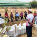 Manejo tecnificado del arroz con parcela demostrativa en Zapotillo