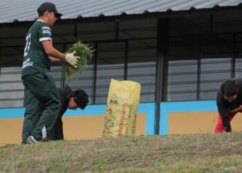 Mingas antes de iniciar clases