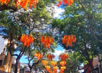 Anuncian plan de contingencia para seguridad del circuito cultural del Festival fe las Artes