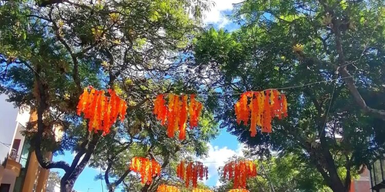 Anuncian plan de contingencia para seguridad del circuito cultural del Festival fe las Artes