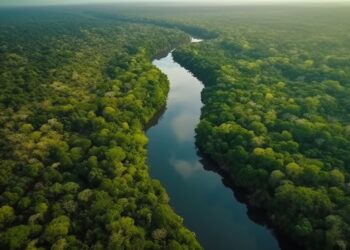 Proyecto de Bioindustria en la Amazonía Ecuatoriana con Enfoque Sostenible y Comunitario
