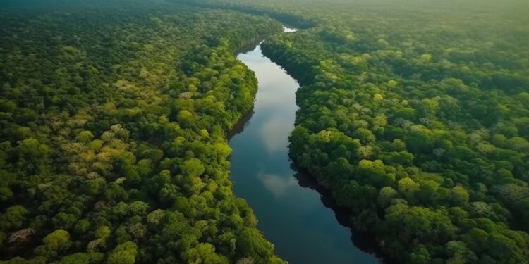 Proyecto de Bioindustria en la Amazonía Ecuatoriana con Enfoque Sostenible y Comunitario