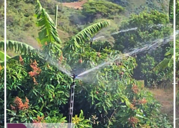 Reportaje  Sistema de riego Pucará beneficia a productores de El Tambo