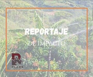 Sistema de riego Pucará beneficia a productores de El Tambo