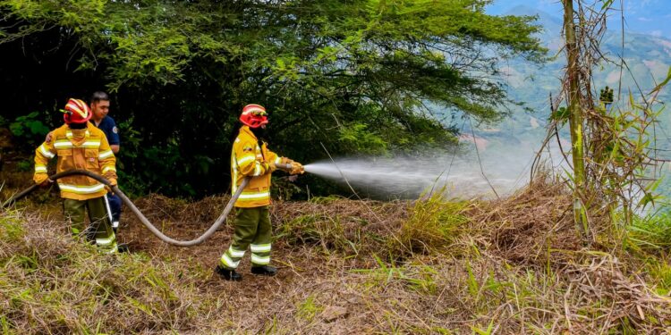 Alerta en prevención de incendios forestales en el bosque seco