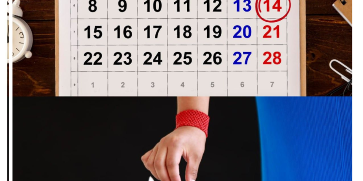 CNE aprueba el inicio del periodo electoral para las Elecciones Seccionales y CPCCS 2027