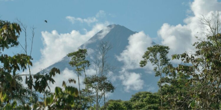 Reserva Sumaco traza su hoja de ruta para la conservación y desarrollo sostenible