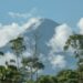 Reserva Sumaco traza su hoja de ruta para la conservación y desarrollo sostenible