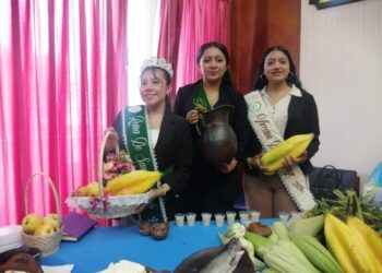 Santiago entre la tradición y el desafío de obras de infraestructura