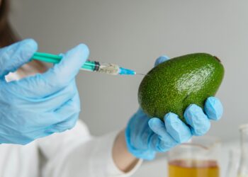 Investigación de la UTPL revela el potencial del aguacate como conservante natural