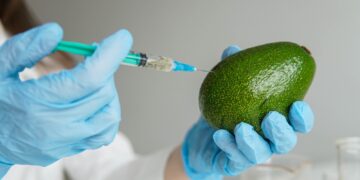 Investigación de la UTPL revela el potencial del aguacate como conservante natural