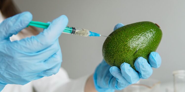 Investigación de la UTPL revela el potencial del aguacate como conservante natural