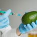 Investigación de la UTPL revela el potencial del aguacate como conservante natural