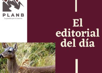 El ataca venados