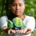 Prendho UTPL impulsa 30 proyectos de industrias creativas y culturales en Ecuador