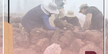 De la Confederación de los Paltas al Legado Inca:  El proyecto que rescata la historia milenaria del Qhapaq Ñan en Quilanga