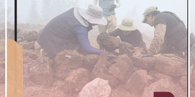 De la Confederación de los Paltas al Legado Inca: El proyecto que rescata la historia milenaria del Qhapaq Ñan en Quilanga