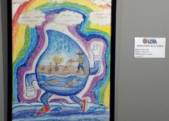 El arte y la conservación