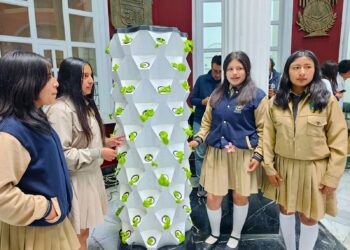 Jóvenes recibirán capacitación agraria con el sistema de cultivo de las torres hidropónicas