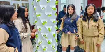 Jóvenes recibirán capacitación agraria con el sistema de cultivo de las torres hidropónicas