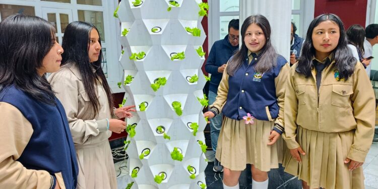 Jóvenes recibirán capacitación agraria con el sistema de cultivo de las torres hidropónicas