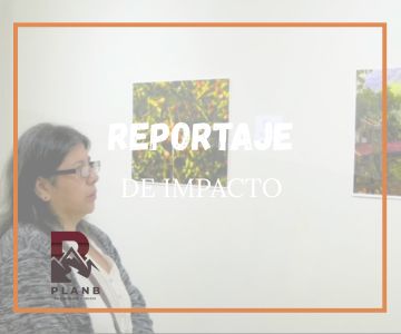 El café y el arte en exposición