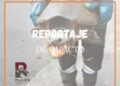 Queda al descubierto un nuevo ataque a la vida silvestre