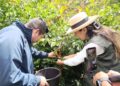 La ruta del café y el turismo