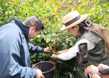 La ruta del café y el turismo