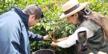La ruta del café y el turismo