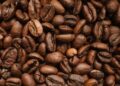 Prefectura invita a caficultores del país a inscripciones para el Concurso Nacional “Loja Sabor a Café 2026”