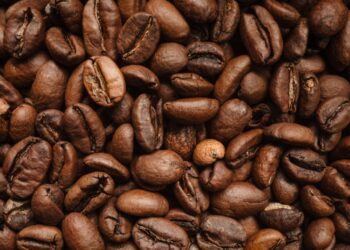 Prefectura invita a caficultores del país a inscripciones para el Concurso Nacional “Loja Sabor a Café 2026”
