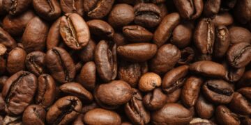 Prefectura invita a caficultores del país a inscripciones para el Concurso Nacional “Loja Sabor a Café 2026”