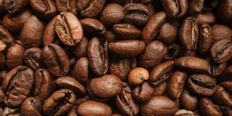 Prefectura invita a caficultores del país a inscripciones para el Concurso Nacional “Loja Sabor a Café 2026”