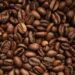 Prefectura invita a caficultores del país a inscripciones para el Concurso Nacional “Loja Sabor a Café 2026”