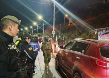 Operativos dejan cuatro aprehendidos y decomisos en Loja y Zamora Chinchipe